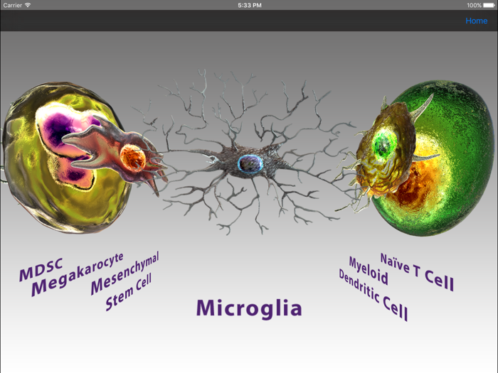 BioLegend Cell Markers