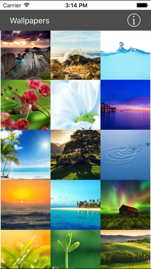 Wallpaper Collection Plus(圖5)-速報App