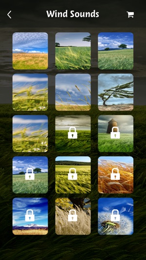 Wind sounds:Calming sounds of nature for relaxation and fore(圖2)-速報App