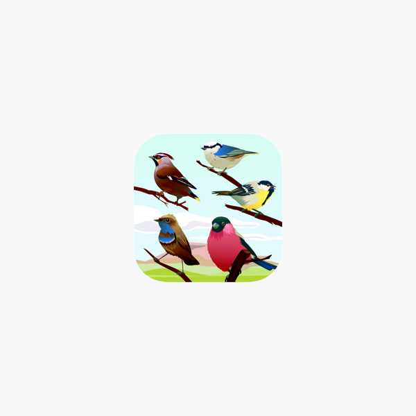 Whistly Bird Mac OS