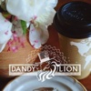 Dandy Lion Coffeehouse