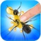 Tap Black Ants: Kids Game