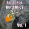 Japanese Butterflies 12 Selection Vol1