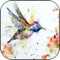 Sketch Scribble Art - Scrawl Art | Simple Drawing App & Learn How to Draw something on Pad for kids