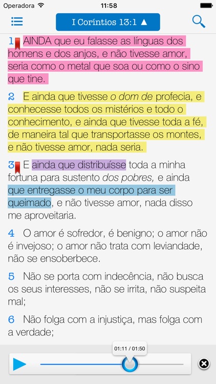 ACF - Bíblia de Estudo Fiel screenshot-4