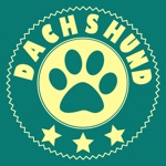 Dachshund Training  Breeding App