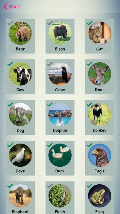 Animal Park - Interactive flash cards for kids