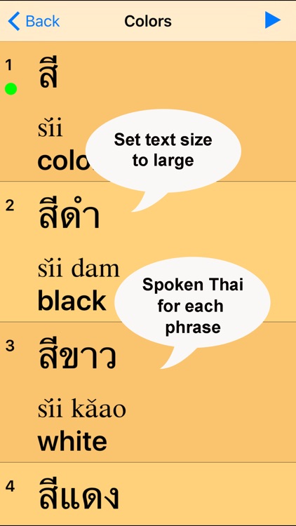 Thai for Beginners