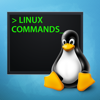 Arthur Yesayan - Linux Commands アートワーク