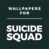 Wallpapers Suicide Squad Edition