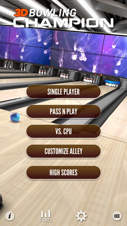 3D Bowling Champion