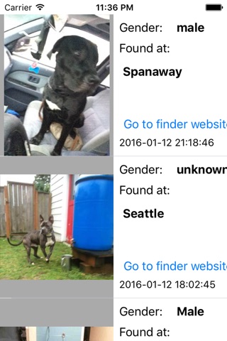 Seattle Found Dogs screenshot 2