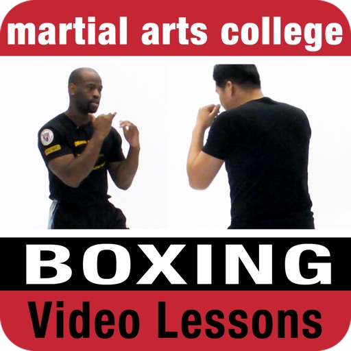 Boxing Lessons 1 - M.A.C. Martial Arts College icon