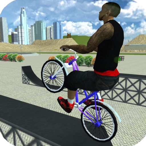 City BMX Icon