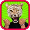 Animal Head Photo Sticker Booth Free - Funny Animals Face Changer Montage Maker