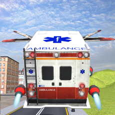 Activities of Flying Ambulance 3d Simulator 2016