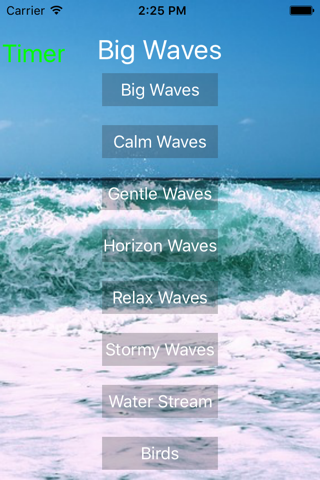 Beach Sound Central Pro screenshot 2