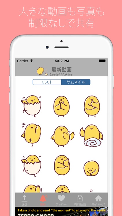 ひよこ動画 - 動画をみんなに共有！販売もできる！ -