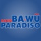 Radio Paradiso BaWü