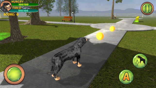 Rottweiler Dog Life Simulator(圖4)-速報App