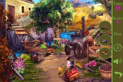 Hidden Objects Of A Summer Of Love screenshot 2