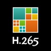 Icon H265