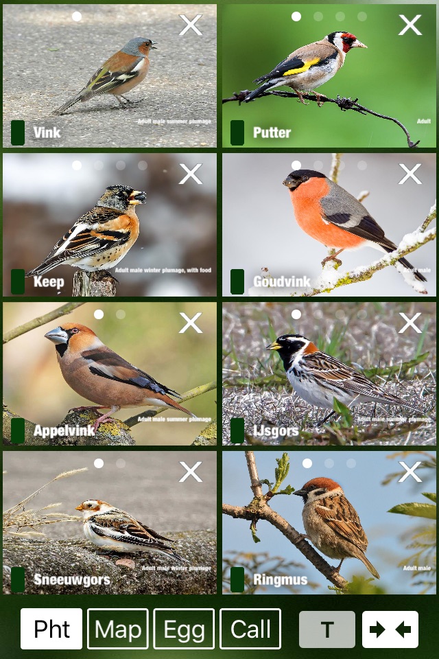 Birds of the Netherlands - a field guide to identify the bird species native to NL and Holland screenshot 3