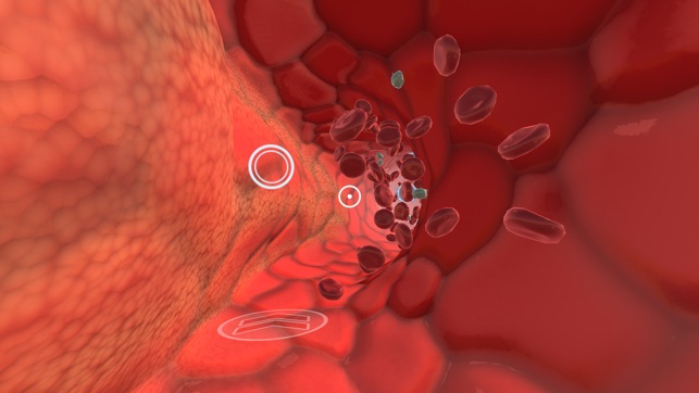 INVIVO Bloodstream Explorer VR(圖2)-速報App