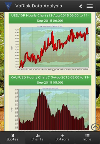 VaRisk Data Analysis screenshot 3