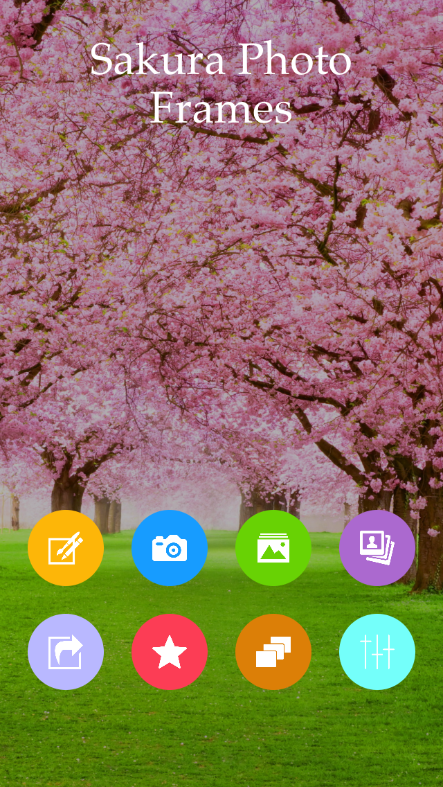 Sakura Photo Frames