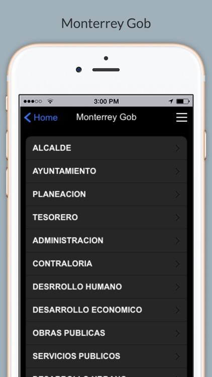 Monterrey Reporta screenshot-3