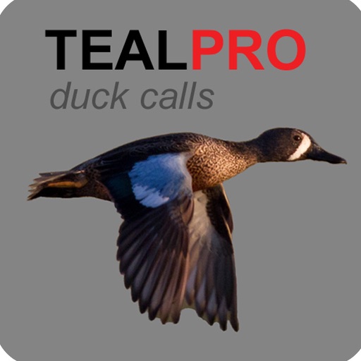 Duck Calls for Teal - With Bluetooth Ad Free iOS App