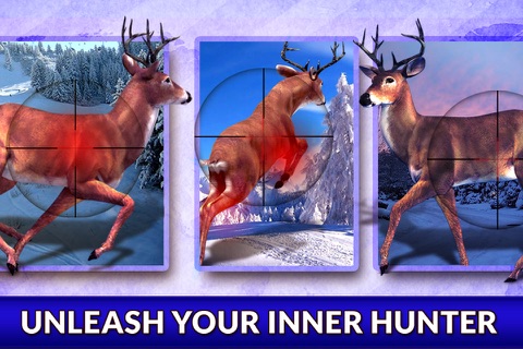 Real Deer Hunter Simulator 2016 - Target The Big Wild Buck Hunter Challenge screenshot 3