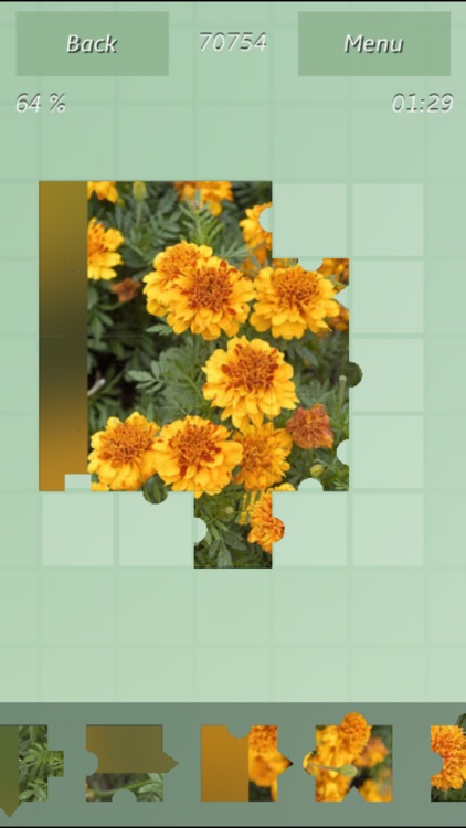 Plants Puzzles Studio