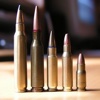 Ammo 101: Beginner's Guide on Ammunition with Glossary and Top News