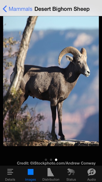 Grand Canyon National Park Field Guide screenshot-3