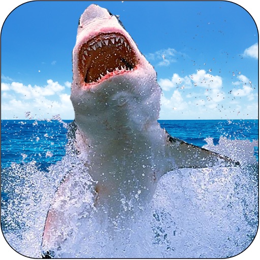 Deadly Wild Shark Hunt Simulator - Great Deep White Shark Attack Icon