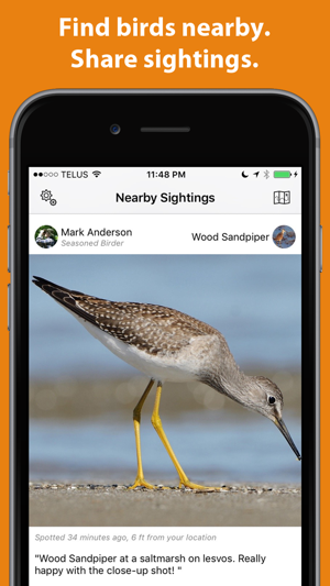 Birder - Log birds you see(圖1)-速報App