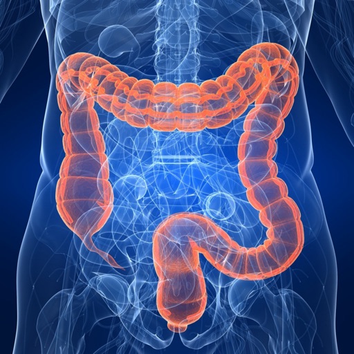 Colorectal:The Truth About the Leading Role of Fiber in Diet Failure, Constipation, Hemorrhoids icon
