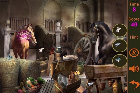 Hidden Objects Of A Living The Tradition screenshot 3