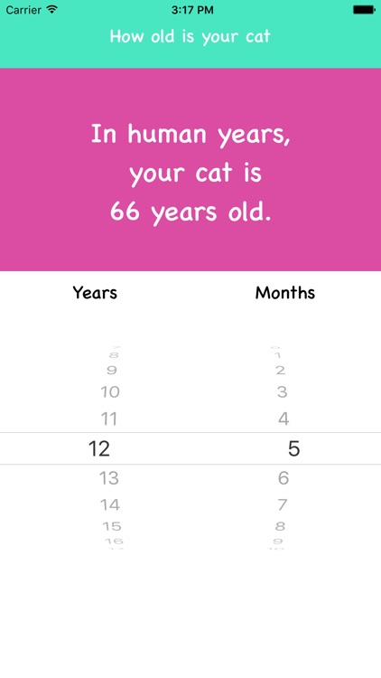 How Old Is My Cat