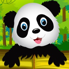 Activities of Panda Jump Dash