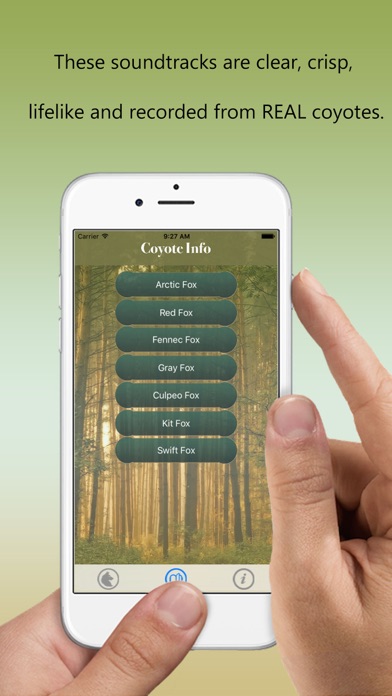 How to cancel & delete Coyote Hunting Calls - Fox Sounds from iphone & ipad 3