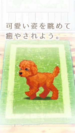 癒しの子犬育成ゲーム トイプードル編 無料 をapp Storeで