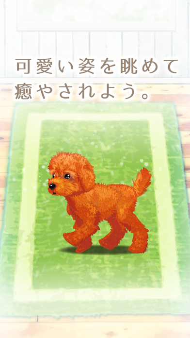 癒しの子犬育成ゲーム〜トイプードル編〜（無料） screenshot1