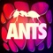 ANTS - THE GAME