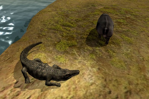 Wild Stray Crocodile Sim-ulator screenshot 3