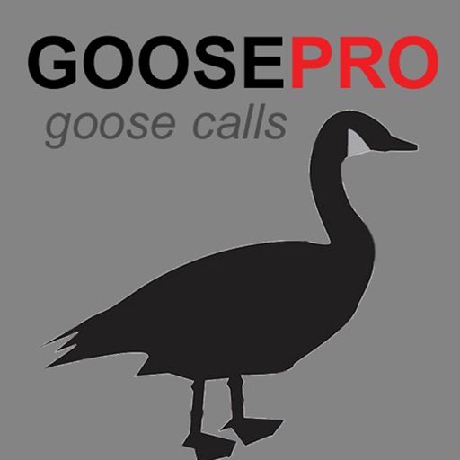 Canada Goose Calls + Goose Sounds for Hunting BLUETOOTH COMPATIBLE iOS App