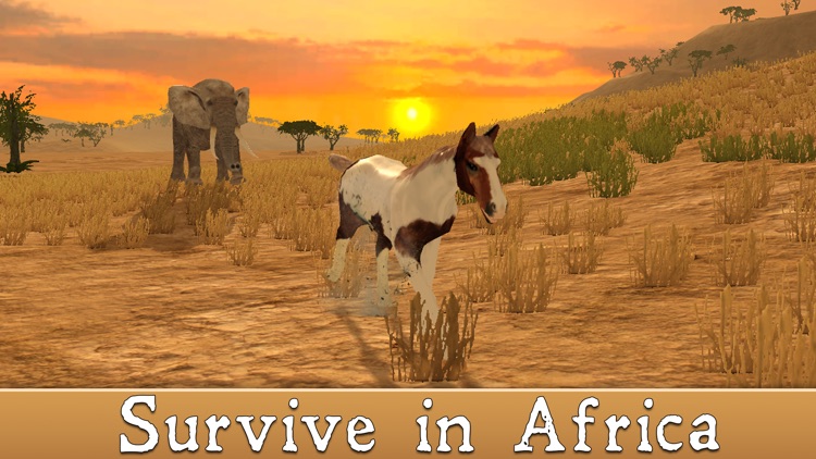 Wild African Horse: Animal Simulator 2017 Full screenshot-2