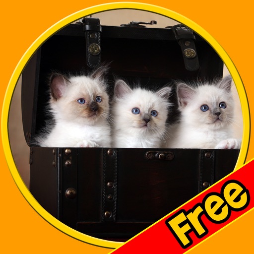 fantastic cats pictures for kids - free Icon